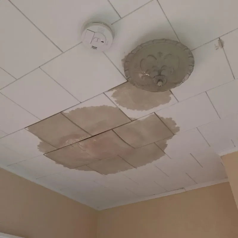 Ceiling Water Damage Repair in Hamden, CT
