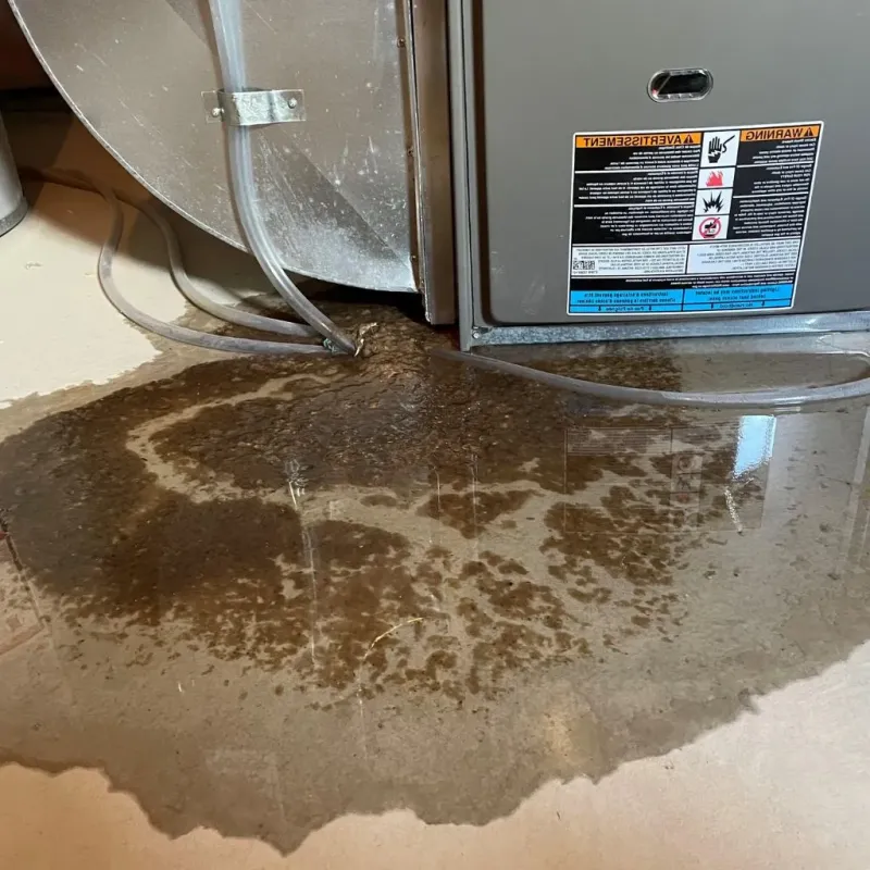 Pipe Burst and Leak Restoration in Hamden, CT